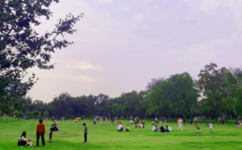 ����������۹�԰���δ�