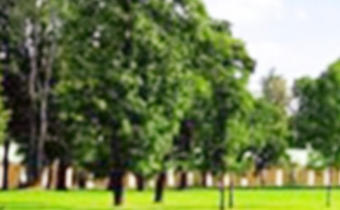 ��٪�޼͹�԰���ۺ��