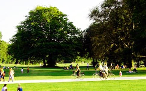 ��̳��԰���δ�13ƪ