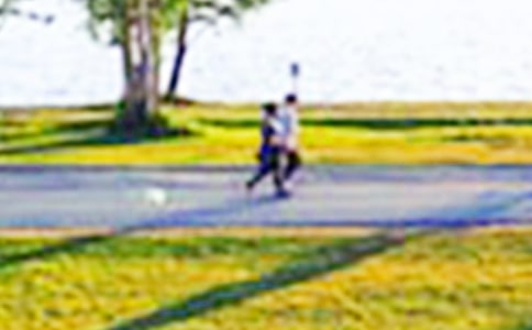 ���������ϲ���Ĺ�԰�̰�3ƪ