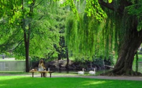 �乫԰����̰�