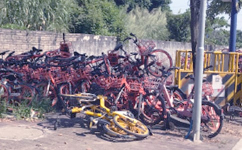 ���������ĳ����鷶�ģ���ѡ10ƪ��