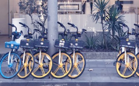 �����������ͣ�Ź��������ĳ�����