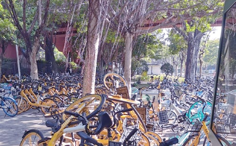 ���ڹ��������ĳ�����