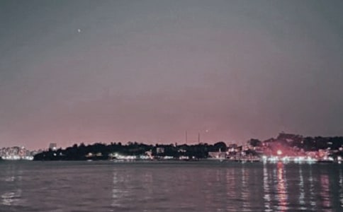 ���Ź����쵼�δ�