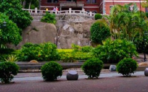 ���Ź����쵼�δ�(11ƪ)