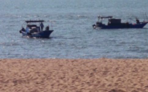 �������Ź����쵼�δ�