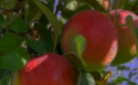 ��԰����ת�ú�ͬ