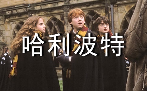 ���¹������������Ҷ����