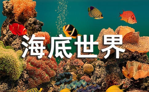 ���������硷�̰�ͨ��15ƪ