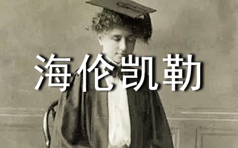 �����׿����и�