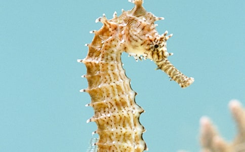 �а��ѧ��̰��������ְ���������