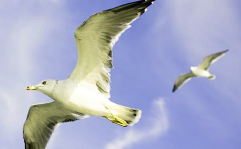 ���̺�Ÿ�����è�������