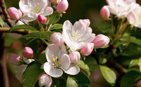 �����㺣�ġ��ۺ��15ƪ[��]