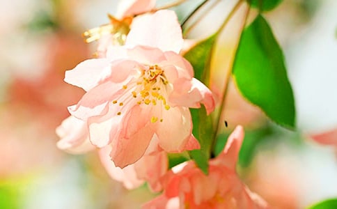 �����㺣�ġ��ۺ�о�ѡ15ƪ