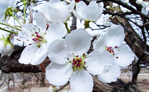 �����㺣�ġ��ۺ��