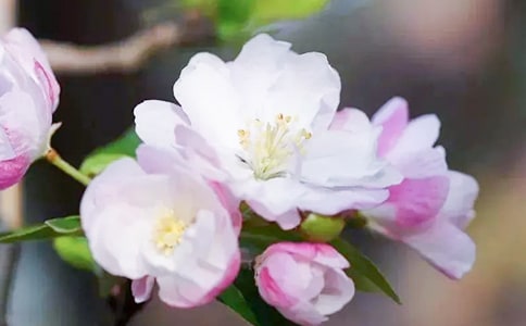 ������㺣�ľ�����¼