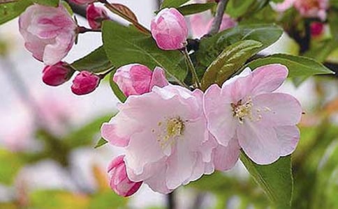 ���㺣�Ĺۺ��9ƪ