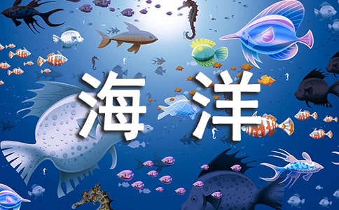 海洋之歌观后感