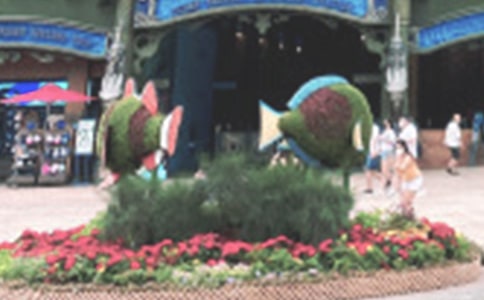 ��ۺ���԰���δ�