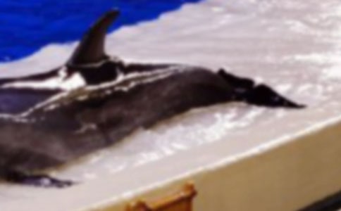 ����ɫ�ĺ��ൺ�������ͨ��15ƪ