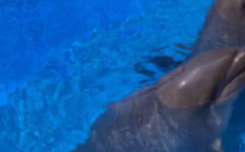 ������ɫ�ĺ��ൺ���иУ���Ʒ��