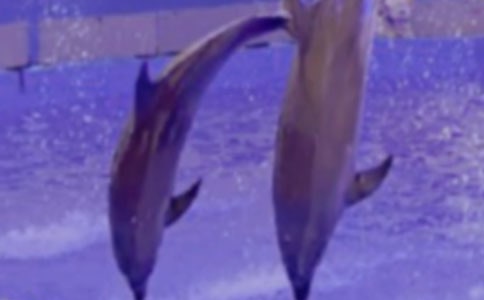 ������ɫ�ĺ��ൺ���и�[����15ƪ]