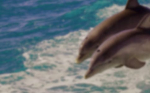 ����ɫ�ĺ��ൺ�������(����15ƪ)