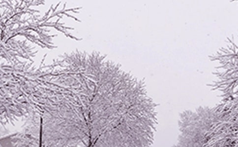 ����Ԥ������������ͨ��6ƪ��