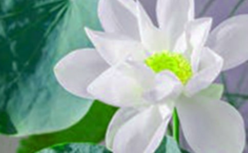 ���꼶���ɻ�������̰�����ѡ10ƪ��