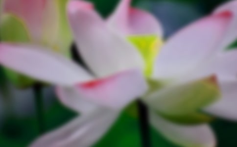 ���ɻ������̰�����7ƪ