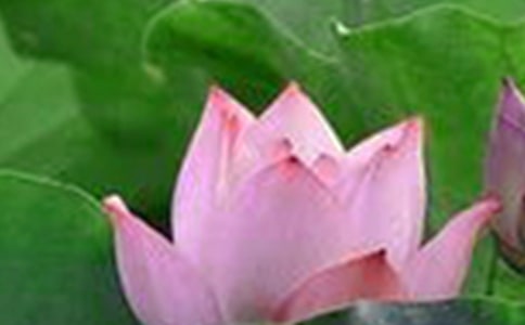 �ɻ��������9ƪ