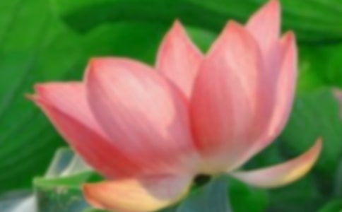 �ɻ���ѧ��˼����13ƪ��