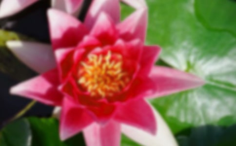 ���ںɻ��̰����Ľ���ʮƪ