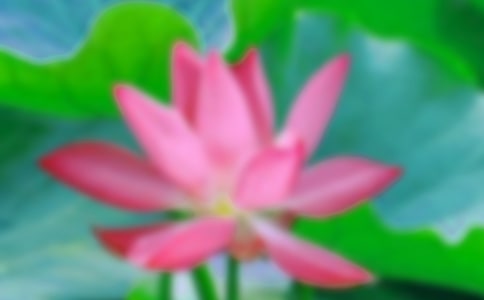 ���ɻ�����ѧ��˼������15ƪ��