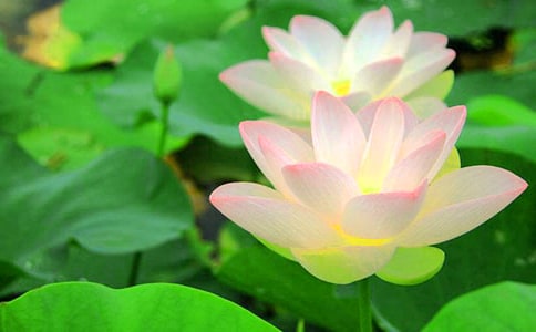 ���ɻ���˵�θ壨ͨ��18ƪ��