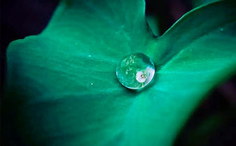 ���ں�ҶԲԲ�̰�������ƪ