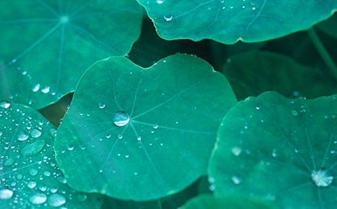 ����ҶԲԲ����ѧ��˼