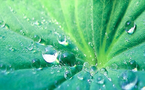 ����ҶԲԲ������̰�