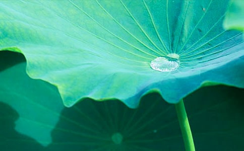 ���Խ̰�����ҶԲԲ