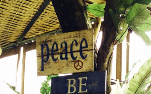 【必备】《为了和平》观后感