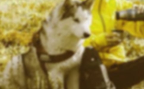 �Ժ�г��������½�����