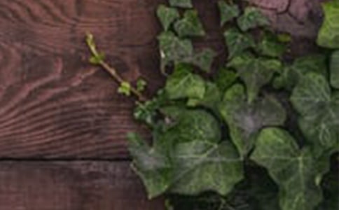 ɫ�ʵĺ�г��ѧ��˼