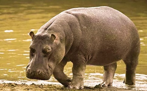 С�����Խ̰����������ִ�