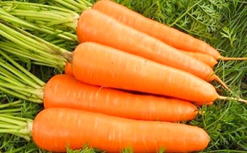 胡萝卜先生的长胡子教学反思