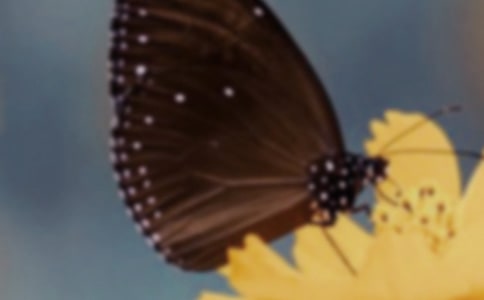 �а������ĺ����̰�