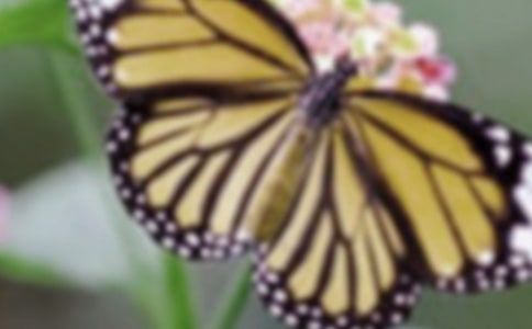 ����ֻ�������̰�15ƪ