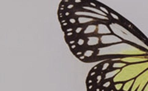 �������һ����̰�