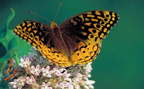 �������������������ġ��и�