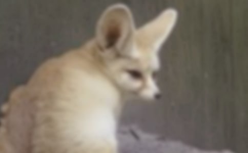 ���������ѻ���̰�